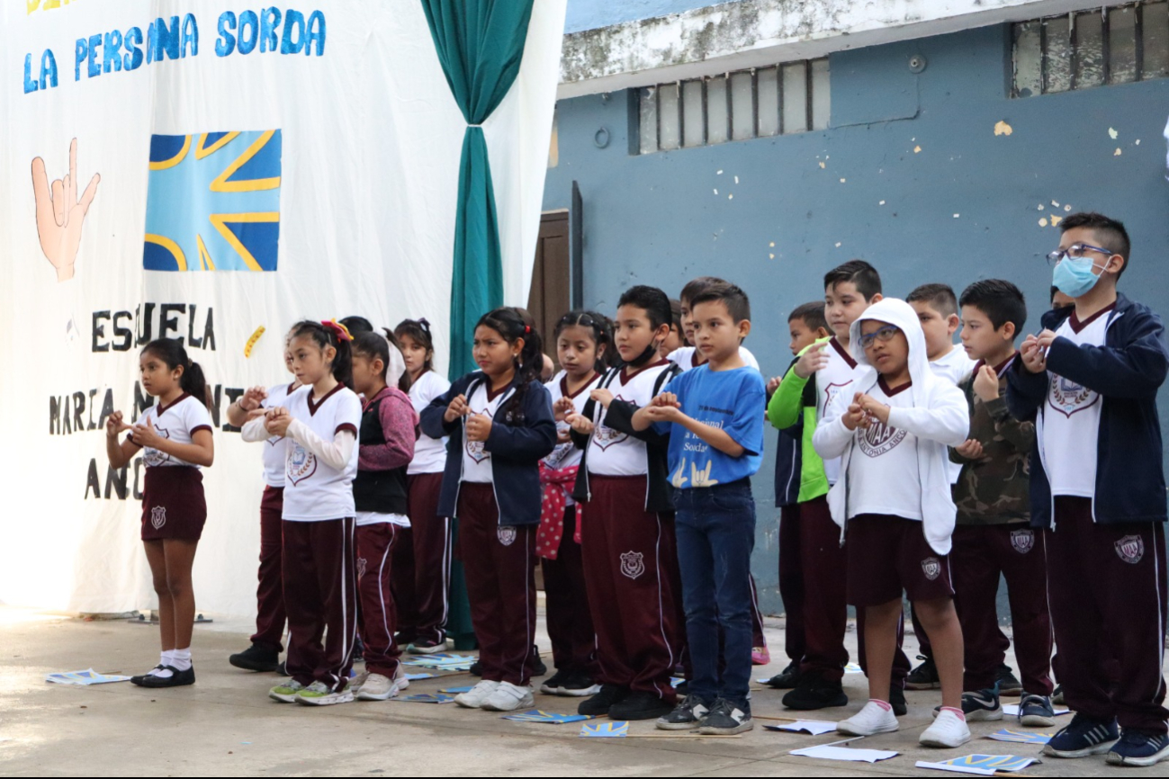 Los estudiantes reconocen el lenguaje de señas