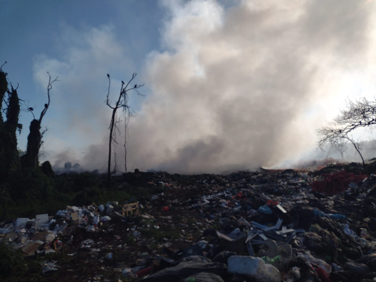 El incendio se logró apagar de manera exitosa