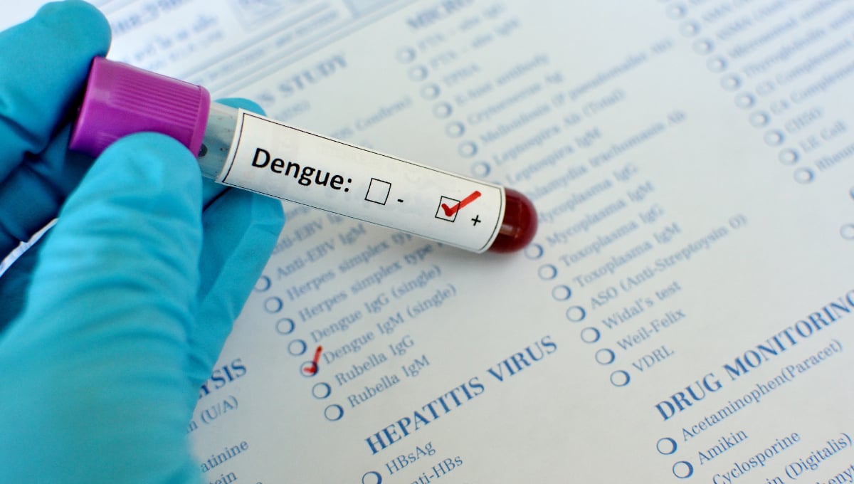 Durante octubre Campeche registró 13 casos de dengue; continúan a la baja 