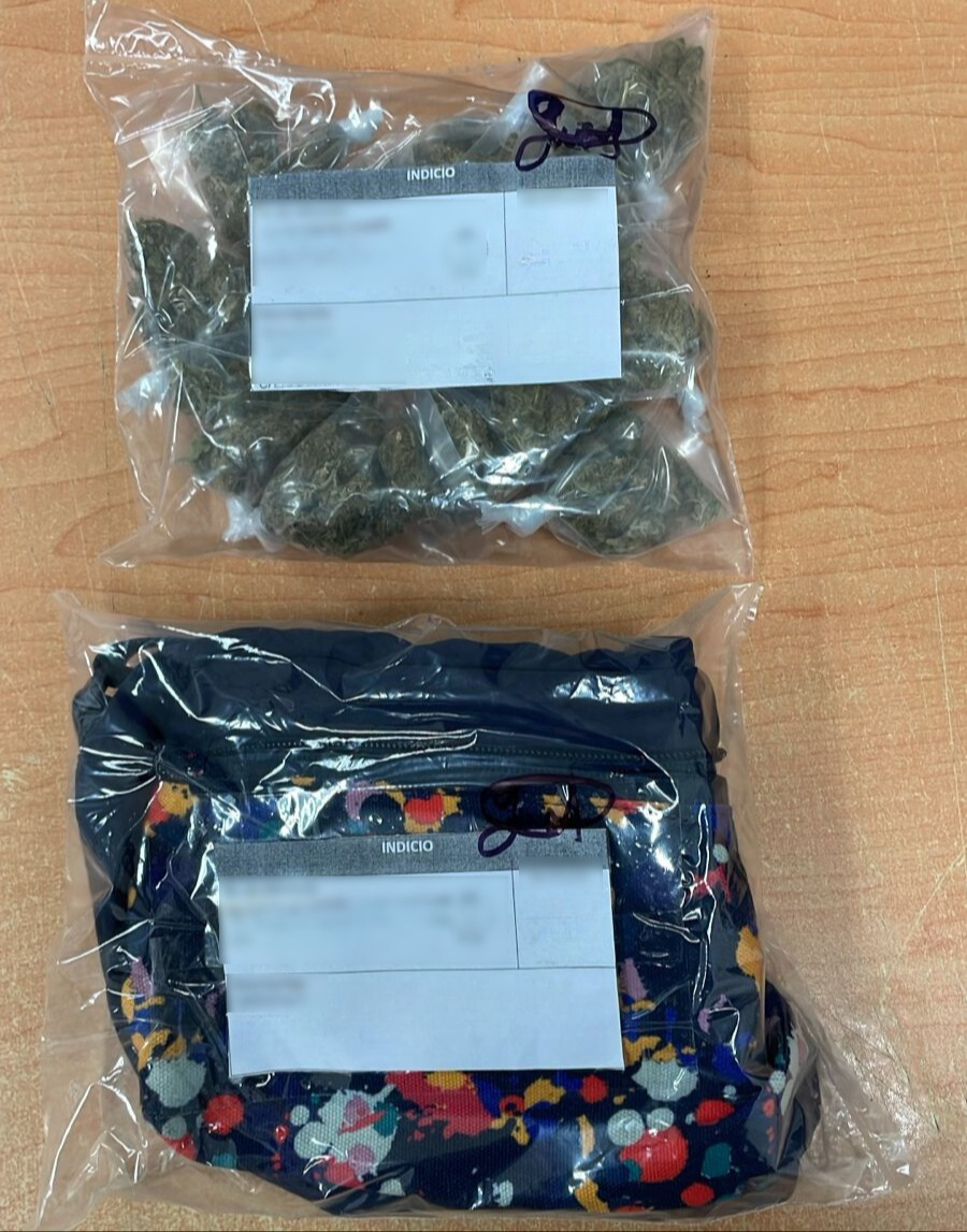 Se encontraron bolsas con hierba seca, supuestamente marihuana