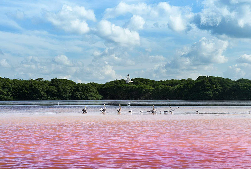 Descubre las Paradisíacas Playas de Yucatán