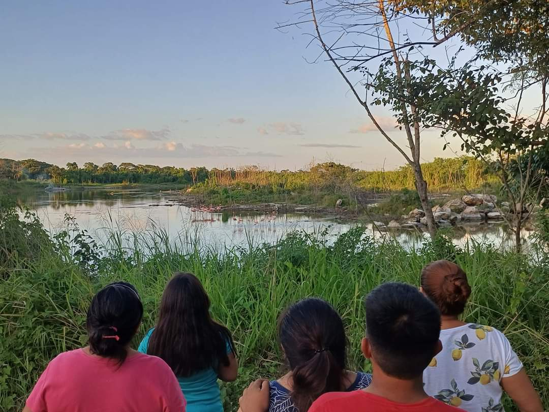 Estos avistamientos han generado interés en la conservación de los ecosistemas