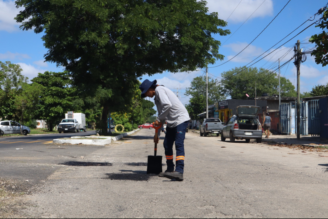 Brigadas del Ayuntamiento de Mérida realizan labores de bacheo, limpieza de vialidades y poda en banquetas