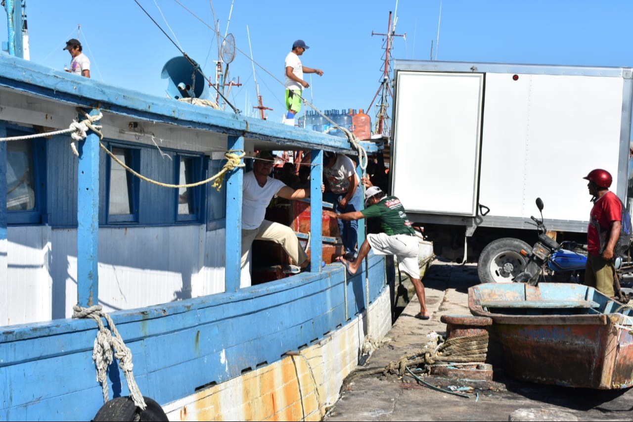 Pescadores de Progreso piden extender la temporada de captura de pulpo 