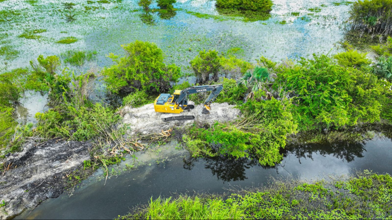 Lluvias sí beneficiaron al sector agrícola de Campeche