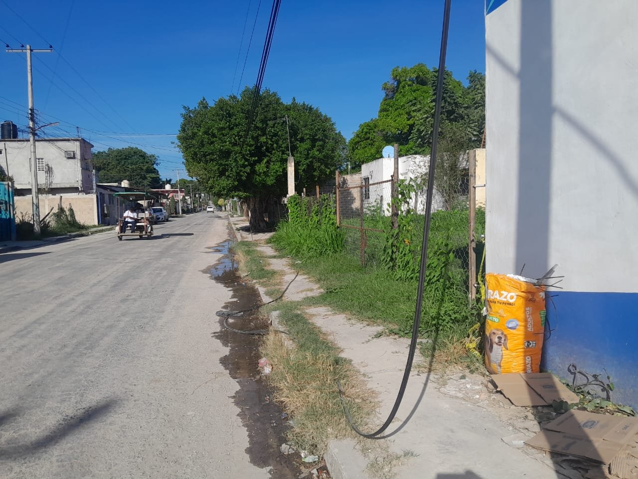 Vecinos de Escárcega denuncian peligro por cables colgados en la colonia Esperanza