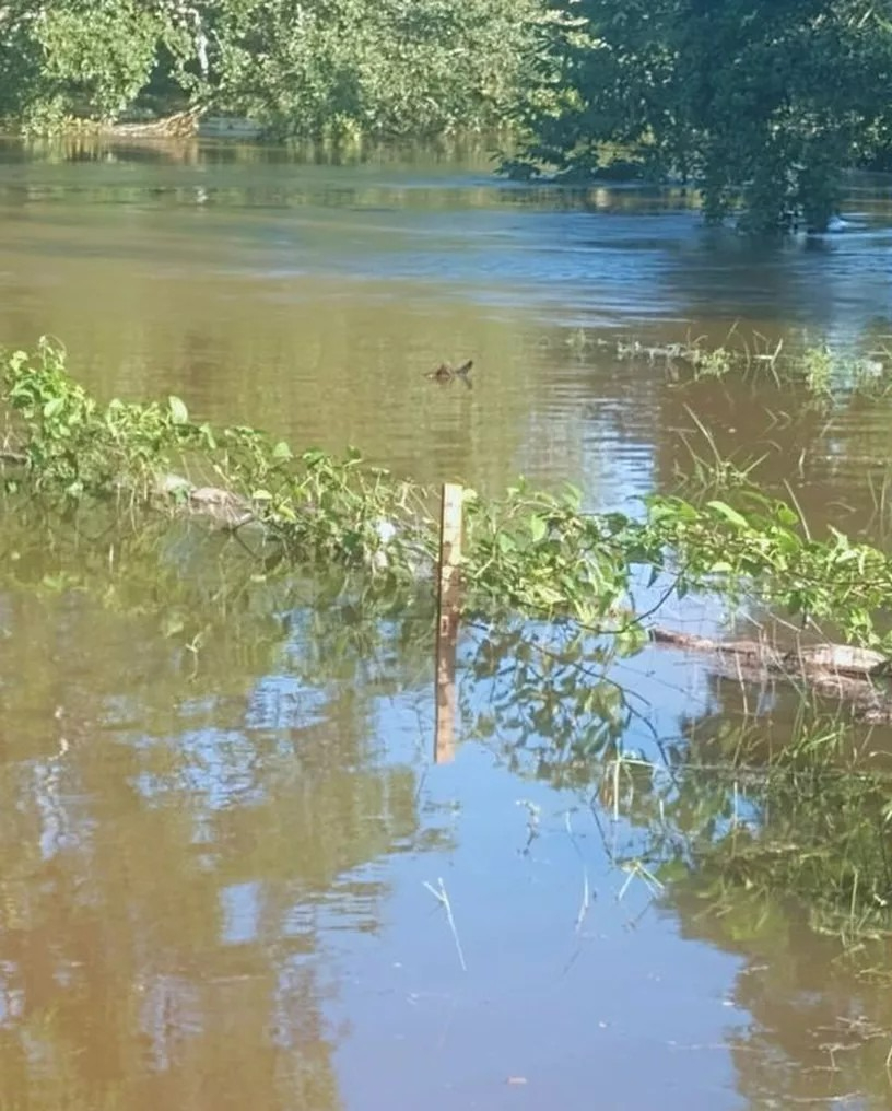 Debido a las condiciones, familias residen en campamentos temporales.