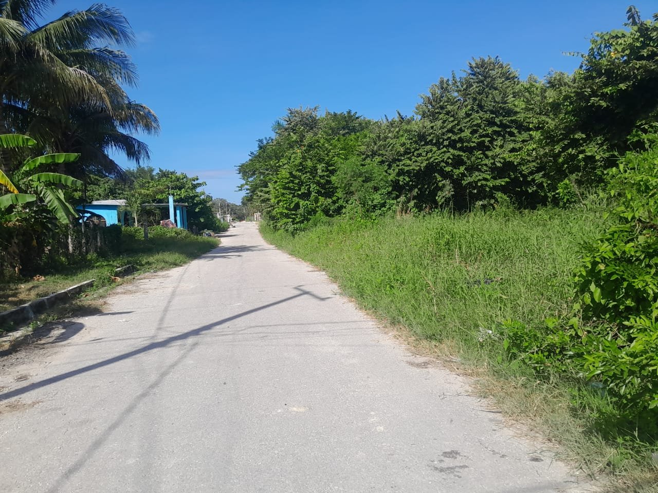 El ladrón amenazó al carpintero con un cuchillo, exigiendo todo lo de valor