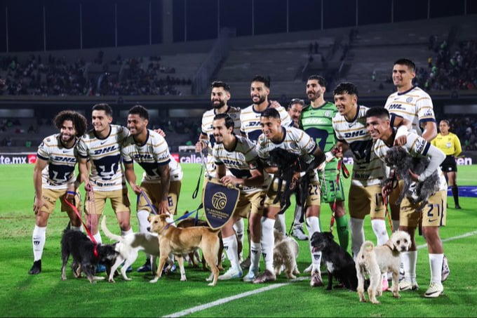 ¡Un 11 muy perro! Pumas y Brigada Animal promueven adopción en CU