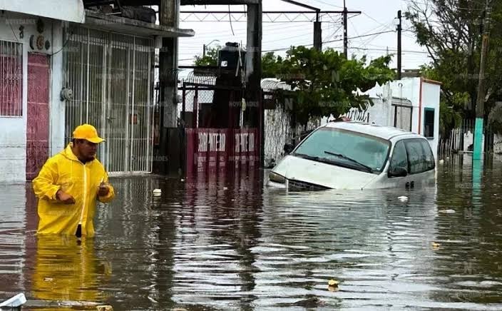 Además de las casas, comerciantes han sufrido grandes pérdidas materiales