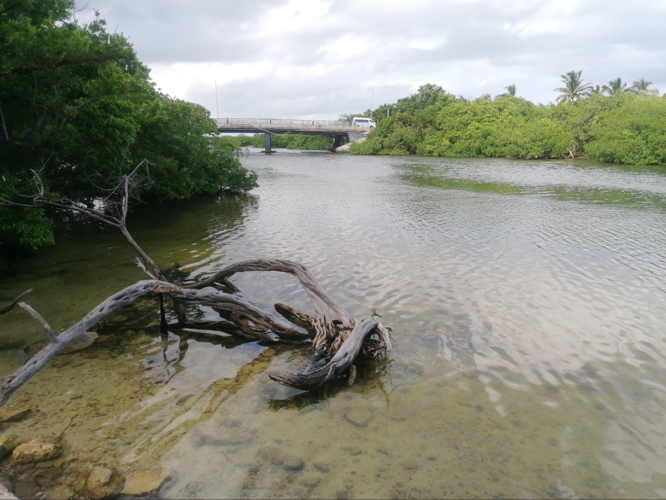 Bañistas exigen limpieza del río, como también conciencia por parte de otros visitantes para no ensuciar el sitio