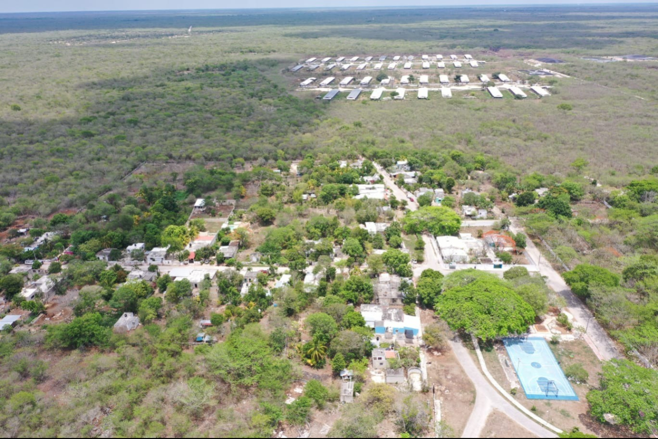 Kekén acosa a activistas  que luchan contra la contaminación por las granjas porcícolas en Yucatán