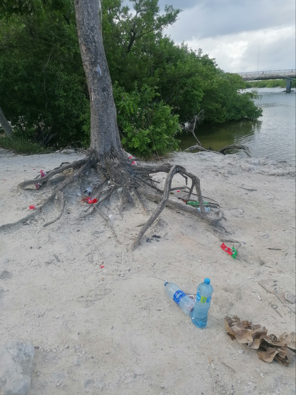 Río Nizuc contaminado; reportan deshechos y basura acumulada por culpa de visitantes  