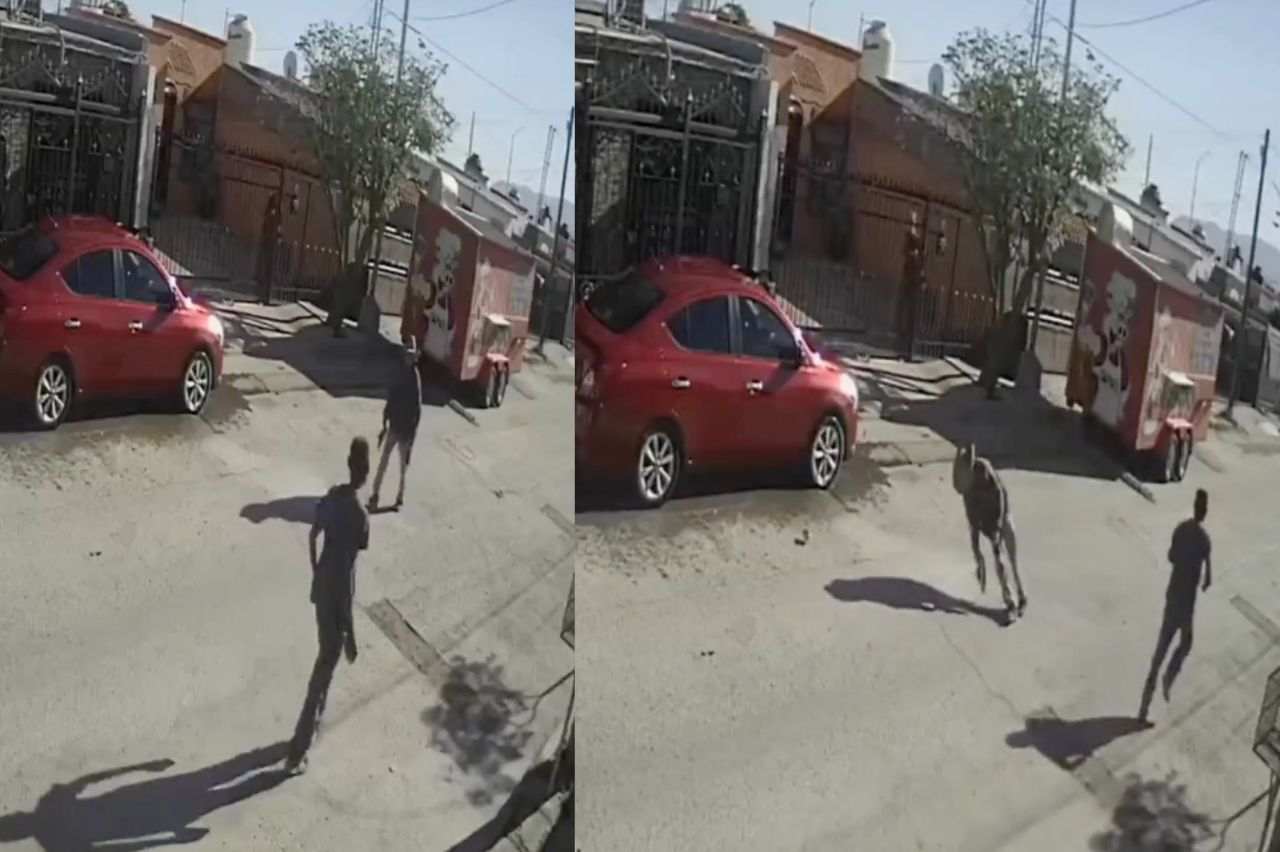 Hombre de la tercera edad fue agredido por una personas en situación de calle, quien enfrenta cargos  en Chihuahua