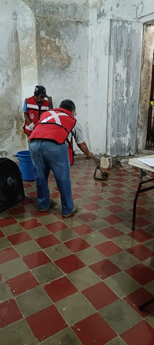 La serpiente, una boa, fue capturada por personal de protección civil y liberada en su hábitat natural