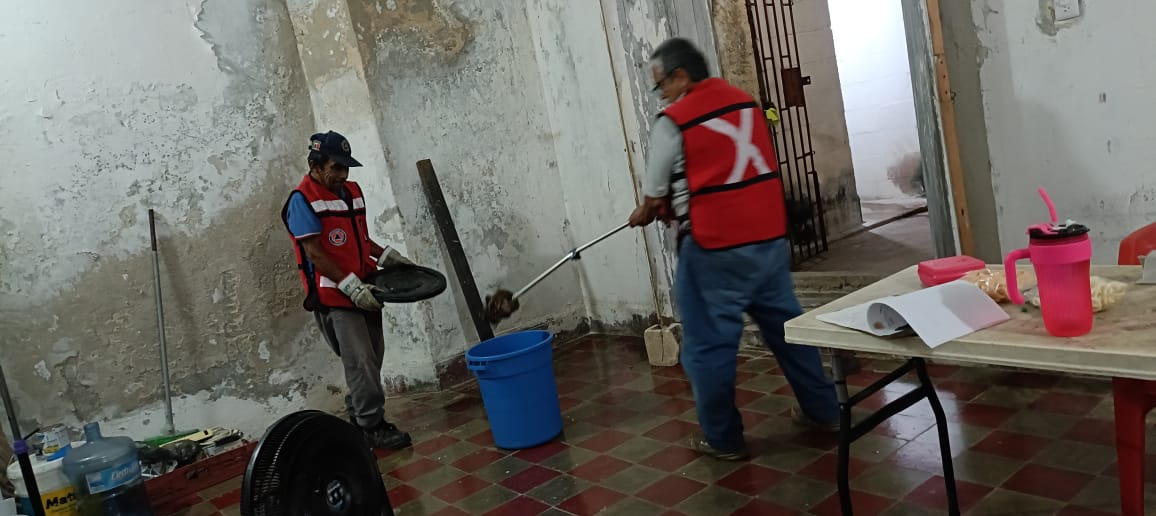 Serpiente causa pánico en óptica de Calkiní, en Campeche