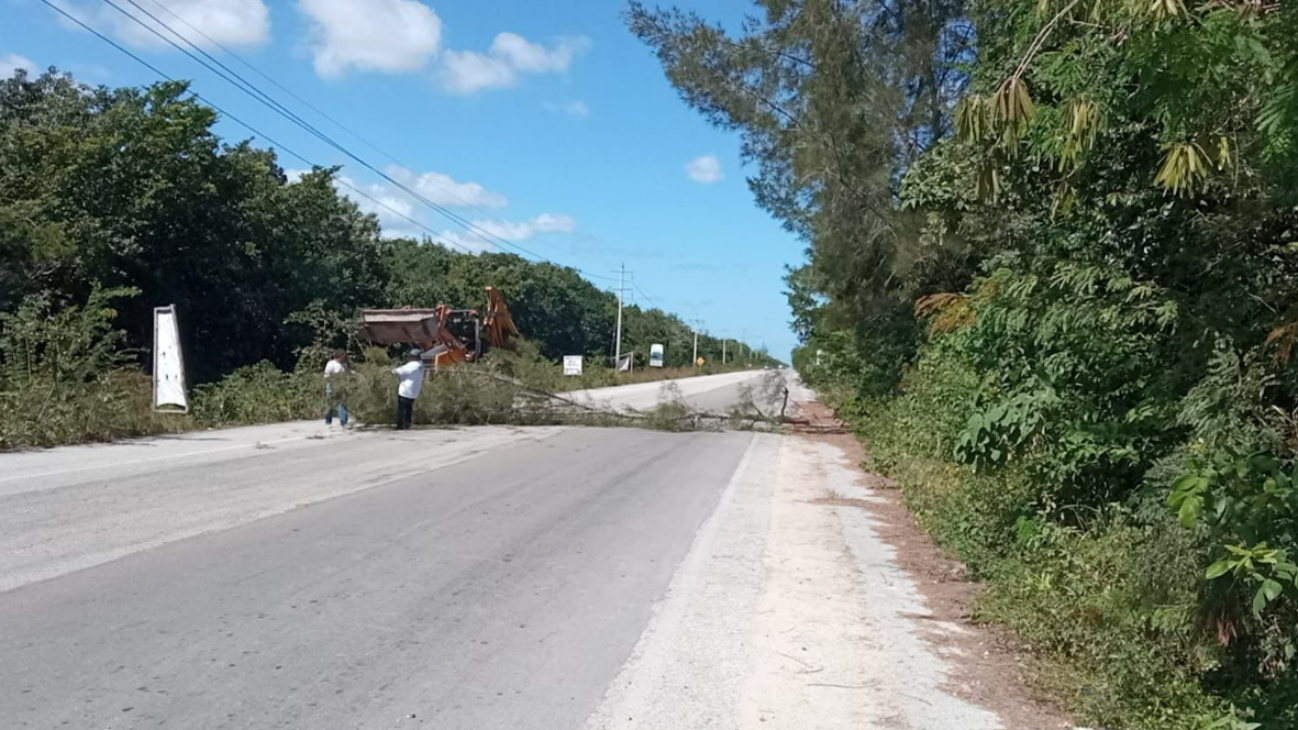 Mahahualenses advierten con bloquear carretera Bacalar-Tulum por inacción de CFE