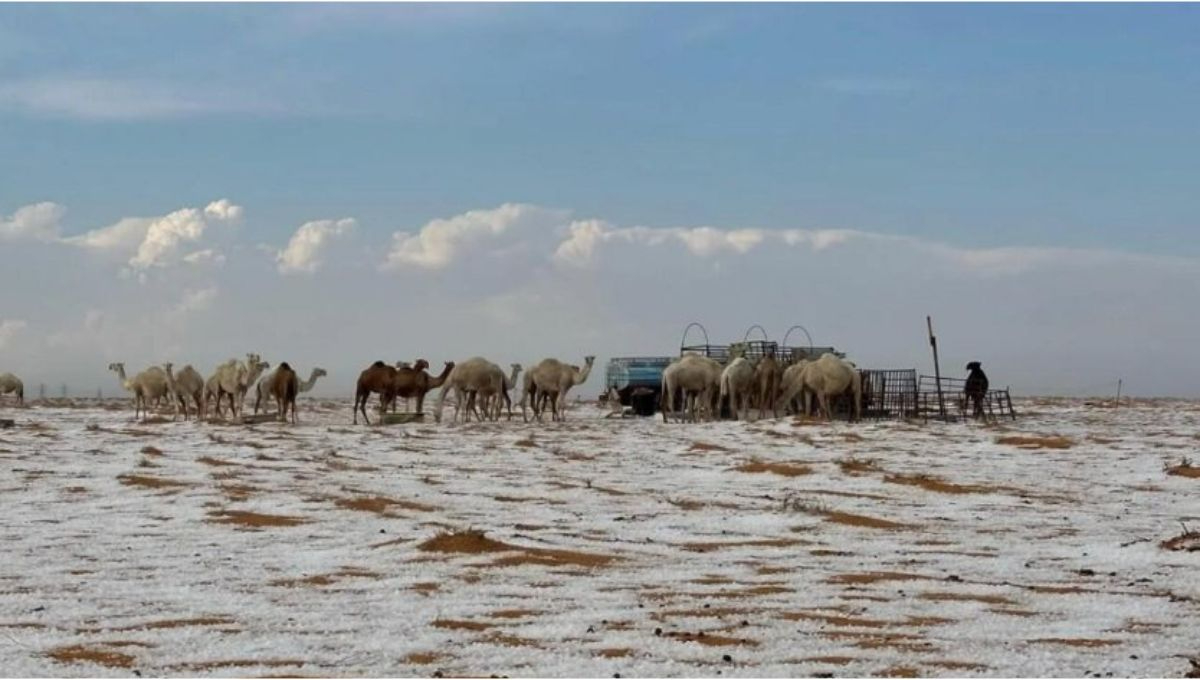 En un hecho insólito, el desierto en la región árabe de AlJawf se 'congeló' en una demostración evidente del cambio climático