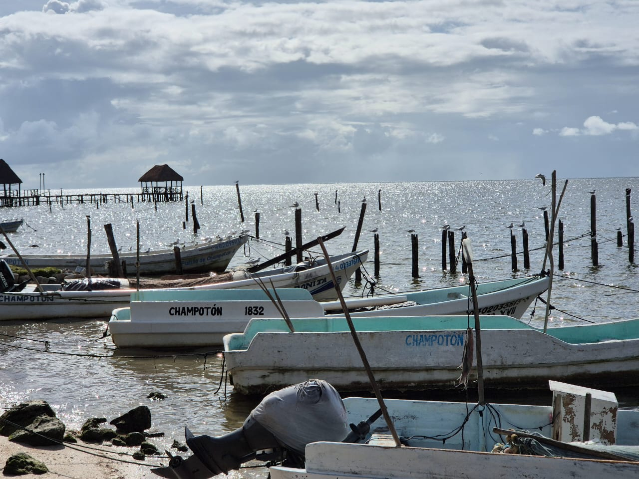 La Capitanía de Puerto exhorta a los pescadores a mantenerse informados y evitar viajes largos