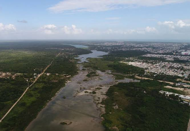 Sabana de Chetumal corre riesgo de secarse