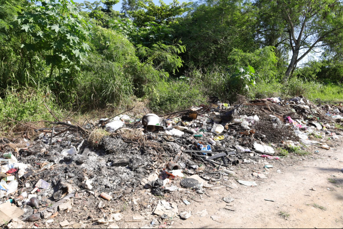 La bsaura igual se ha convertido en otro problema que afecta a la zona.