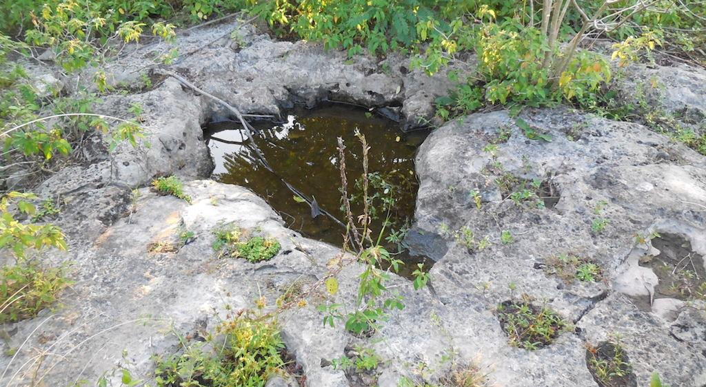 Las sartenejas o jaltún son huecos en el terreno que permiten almacenar el agua de lluvia