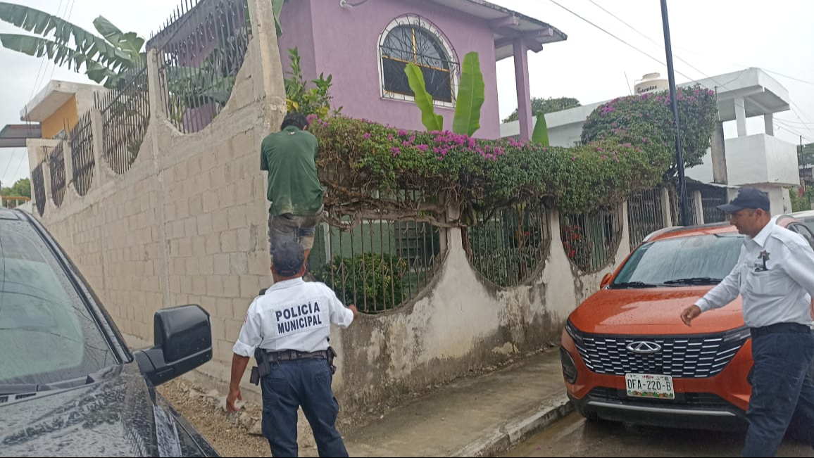 La Guiba fue capturado en el interior de una casa ubicada sobre la calle 28 entre 23 y 25