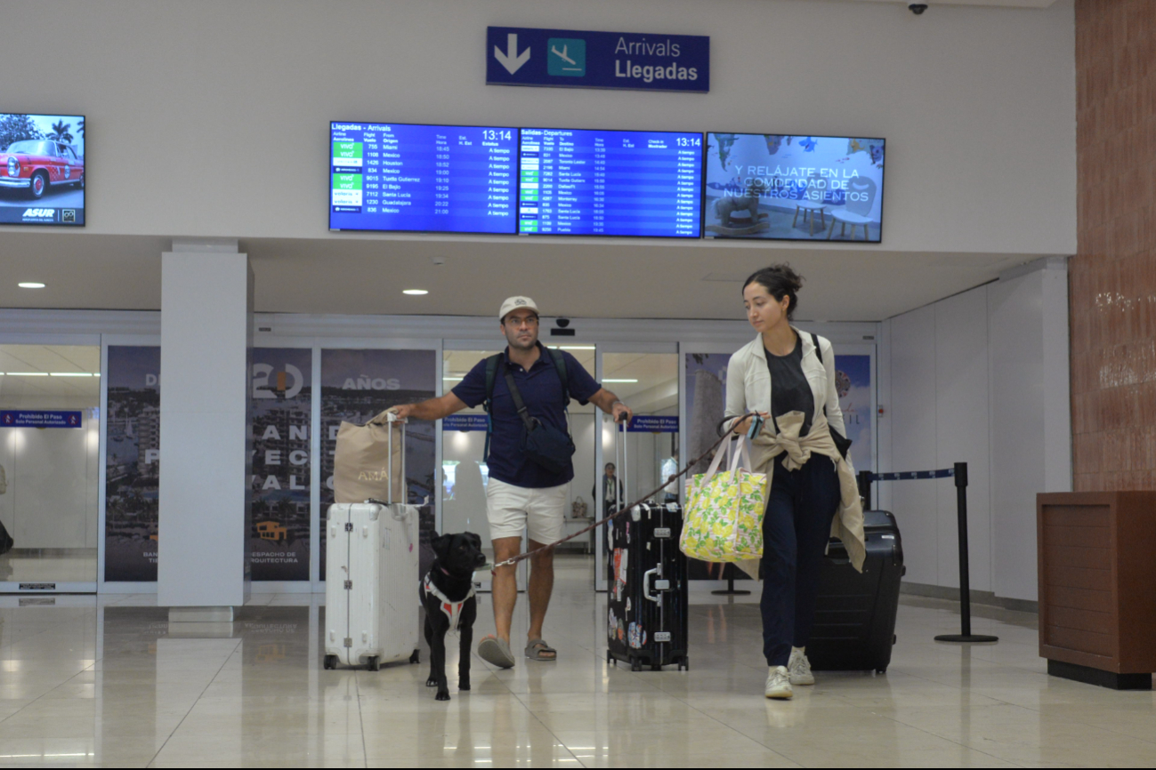 Perros y gatos recorren los pasillos del aeropuerto de Mérida para tranquilizar a sus propietarios