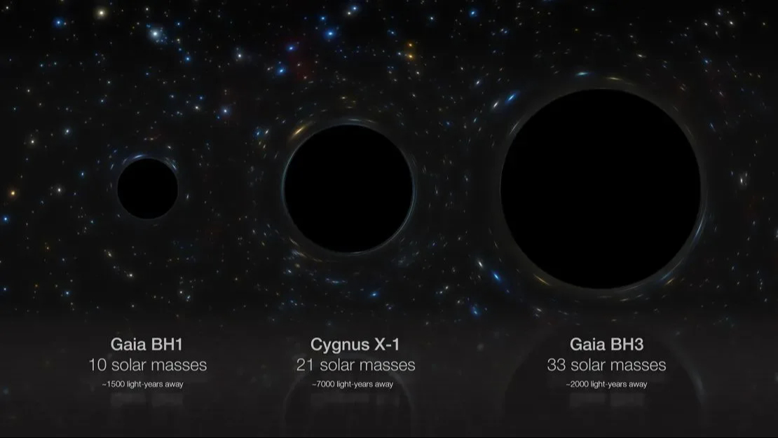 Comparativa de tamaño de algunos agujeros negros estelares situados en la Vía Láctea: Gaia BH1 con 10 masas solares; Cygnus X-1 con 21 masas solares; y Gaia BH3 con 33