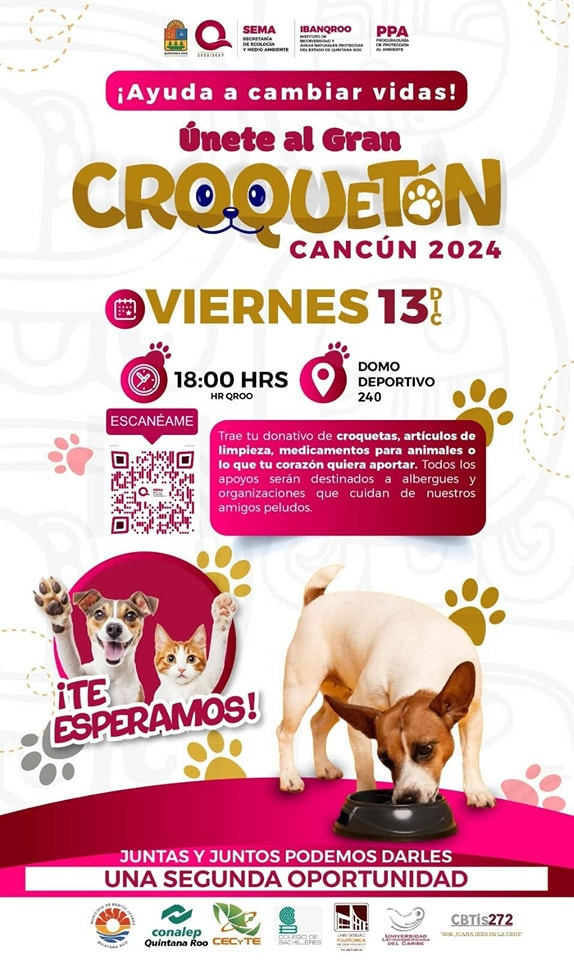 Corquetón Cancún 2024 regresa para darles una segunda oportunidad a los peluditos