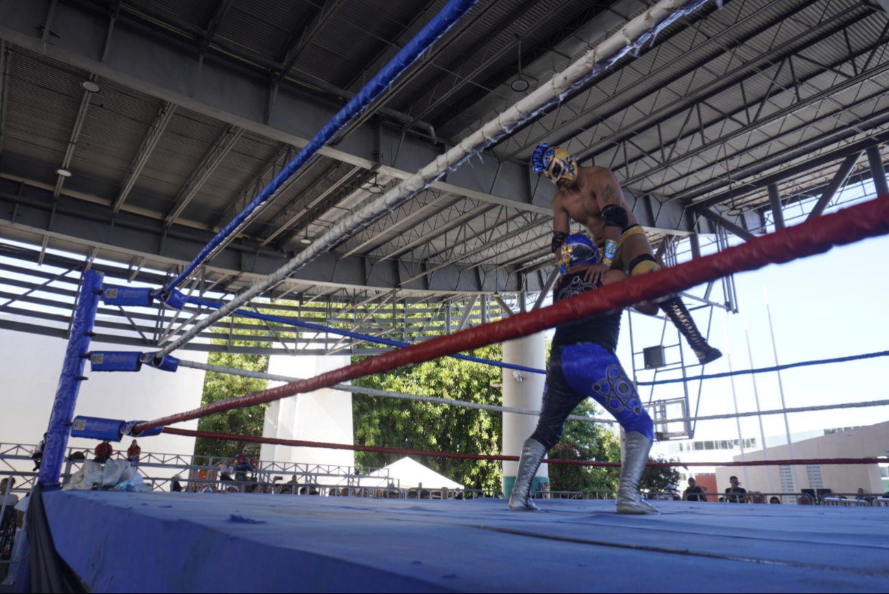 La Parkita, uno de los luchadores más queridos de México