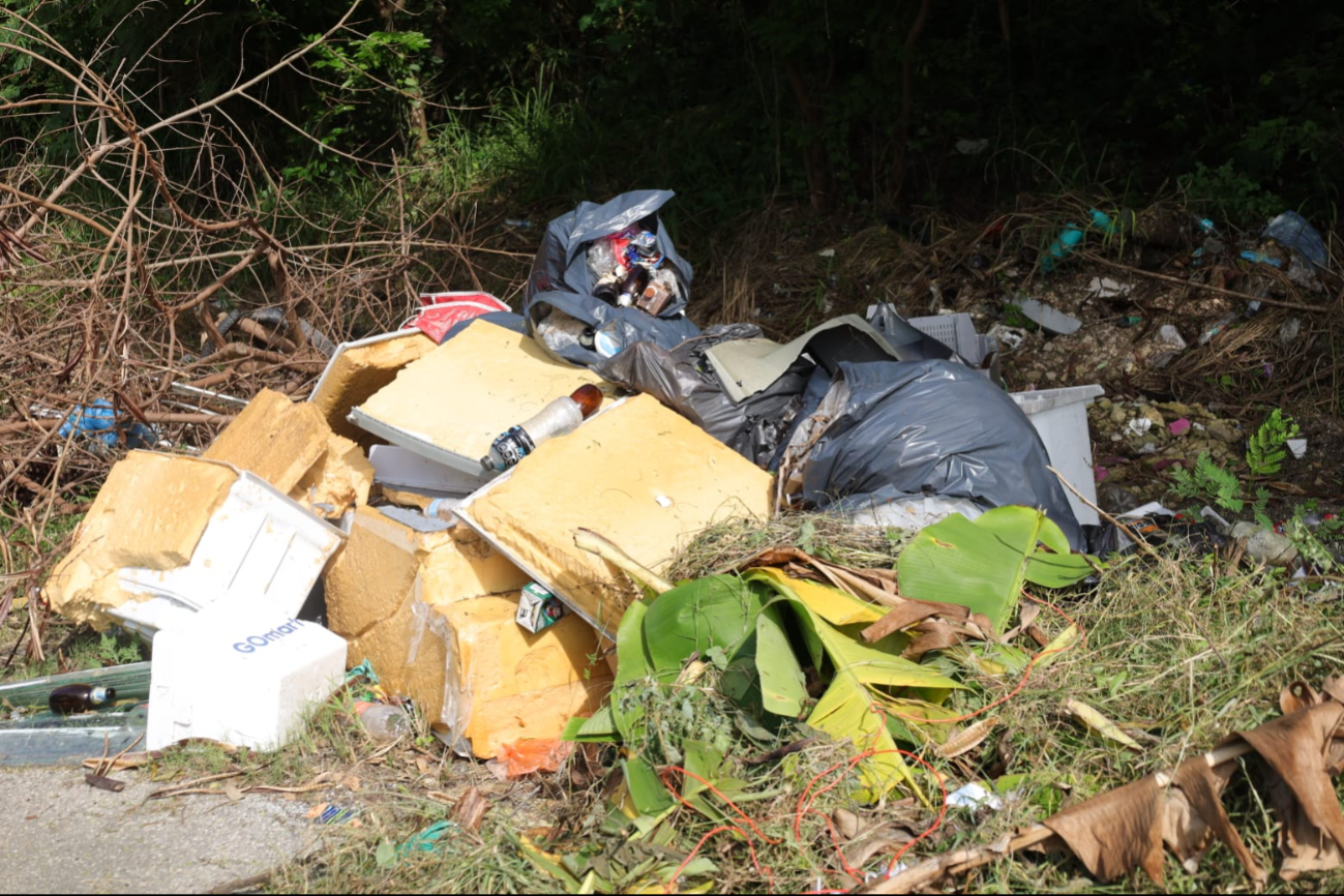 Múltiples sitios en Chetumal se encuentran llenos de basura.