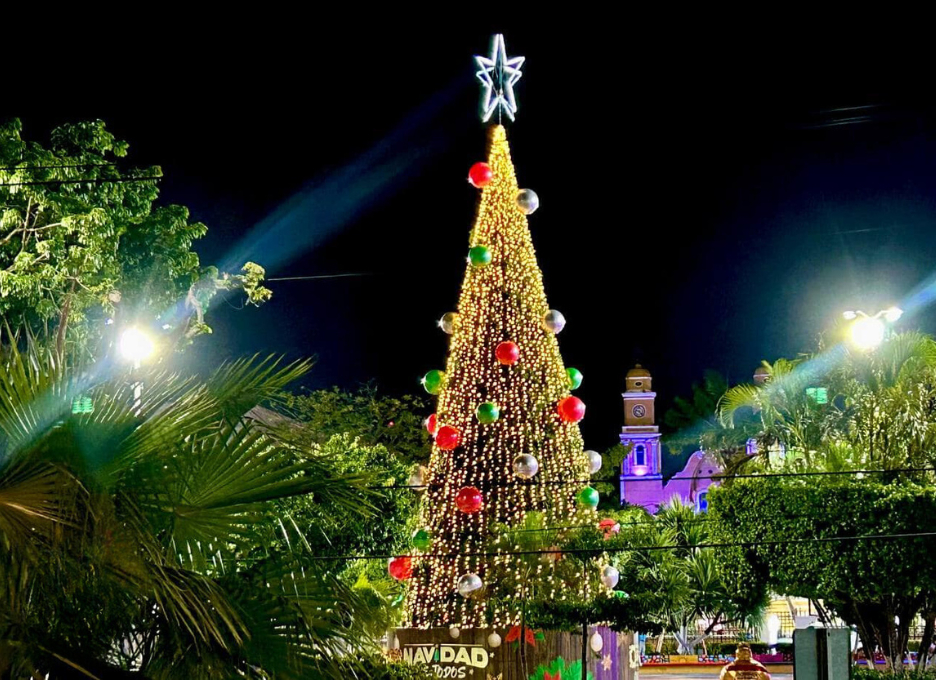 El árbol navideño se colocó el 8 de diciembre en el Parque Zaragoza del centro