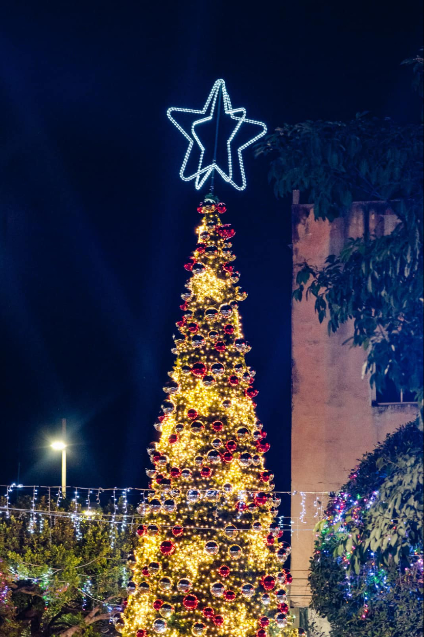 El encendido del árbol navideño se llevó a cabo el 8 de diciembre en el parque principal "Miguel Hidalgo y Costilla",