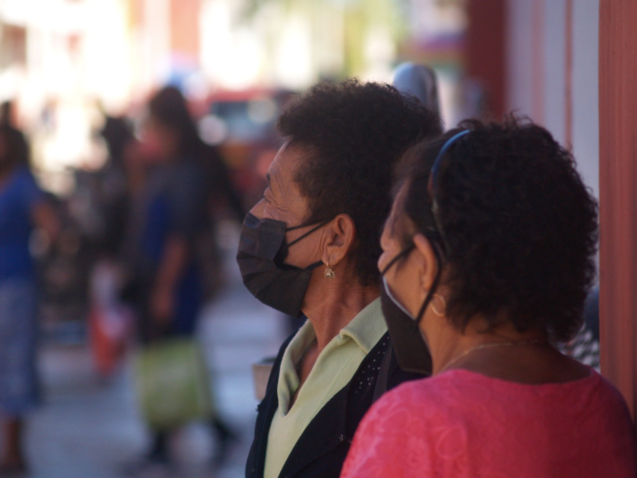 Frente a las heladas,  ciudadanos toman medidas