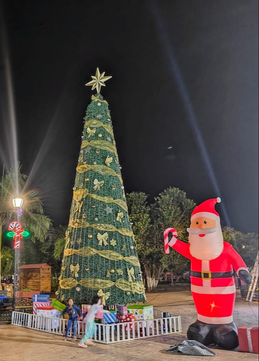 La alcaldía colocó su árbol navideño el 7 de diciembre en el palacio municipal