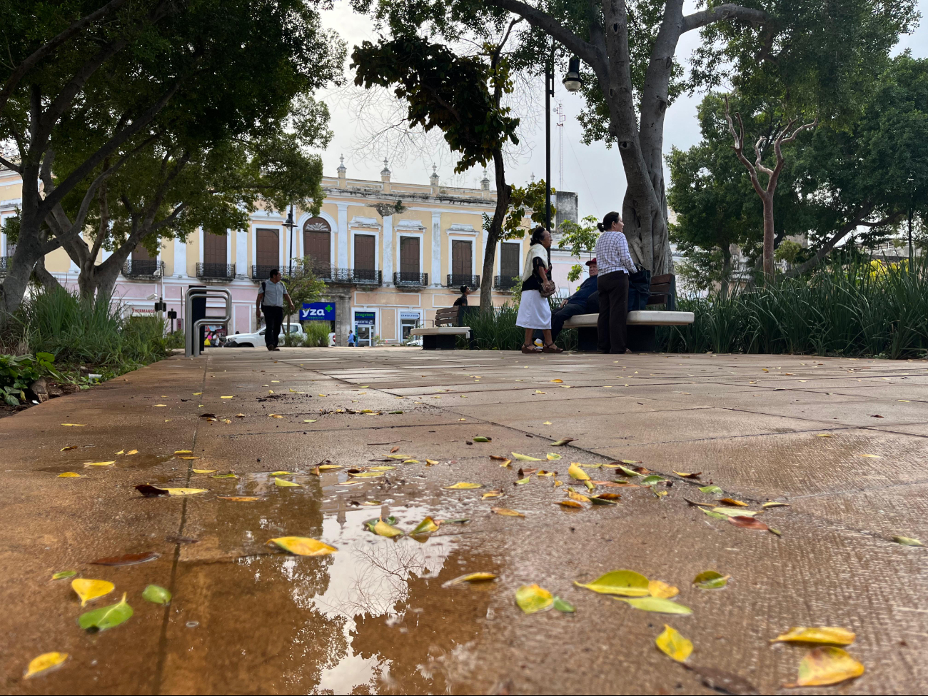 Un nuevo Frente Frío ingresará a Yucatán esta semana