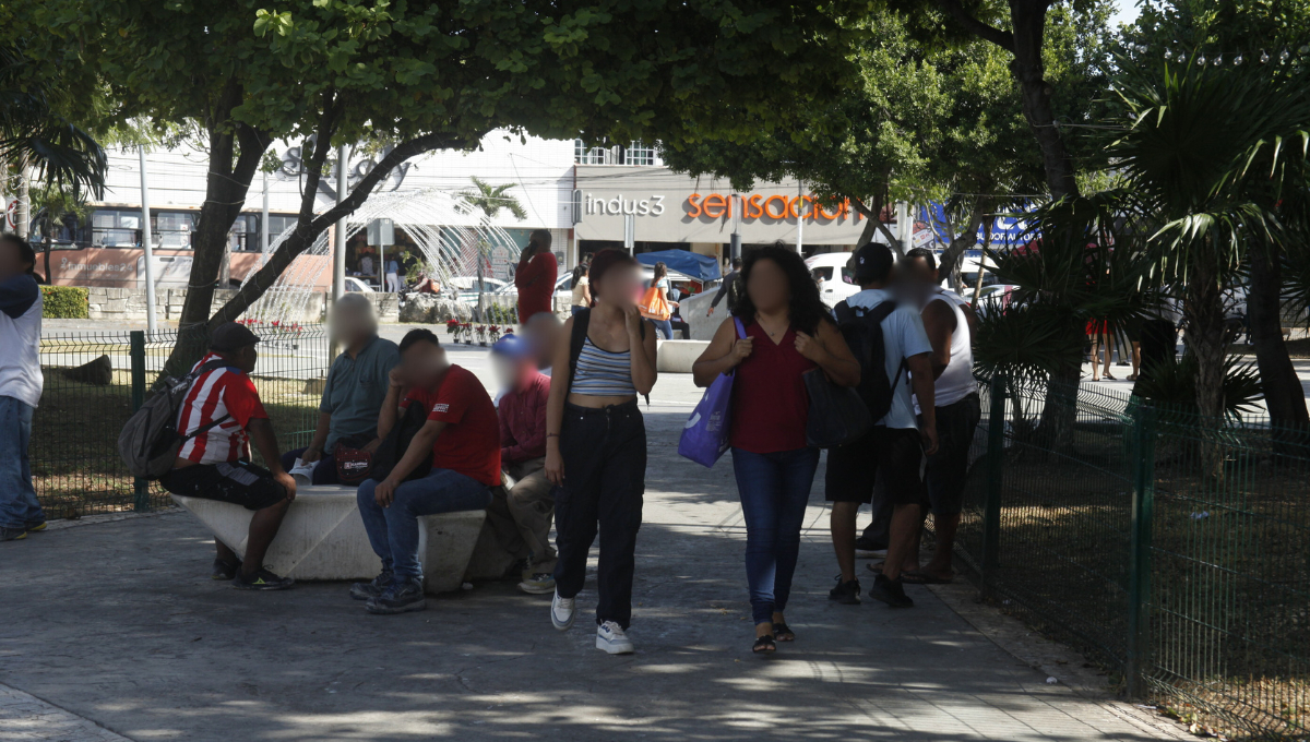 Colectivos aseguran que la violencia es el resultado de un problema estructural y sistemático