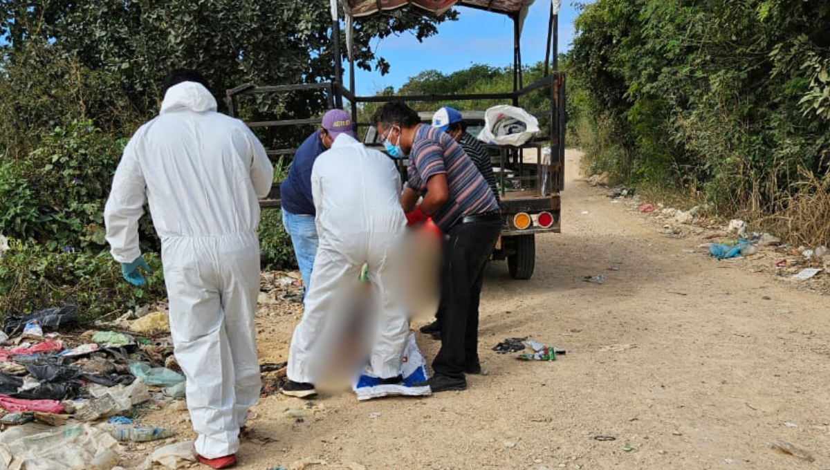 El cadáver de un cerdo fue arrojado en un basurero clandestino en un camino de terracería usado por campesinos