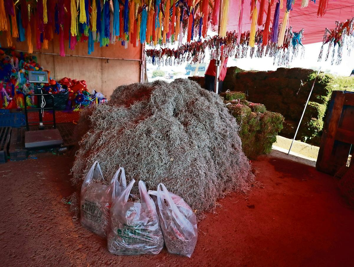 La extracción y comercialización del heno y el musgo se considera una actividad ilícita, debido a que afecta el equilibrio de los ecosistemas