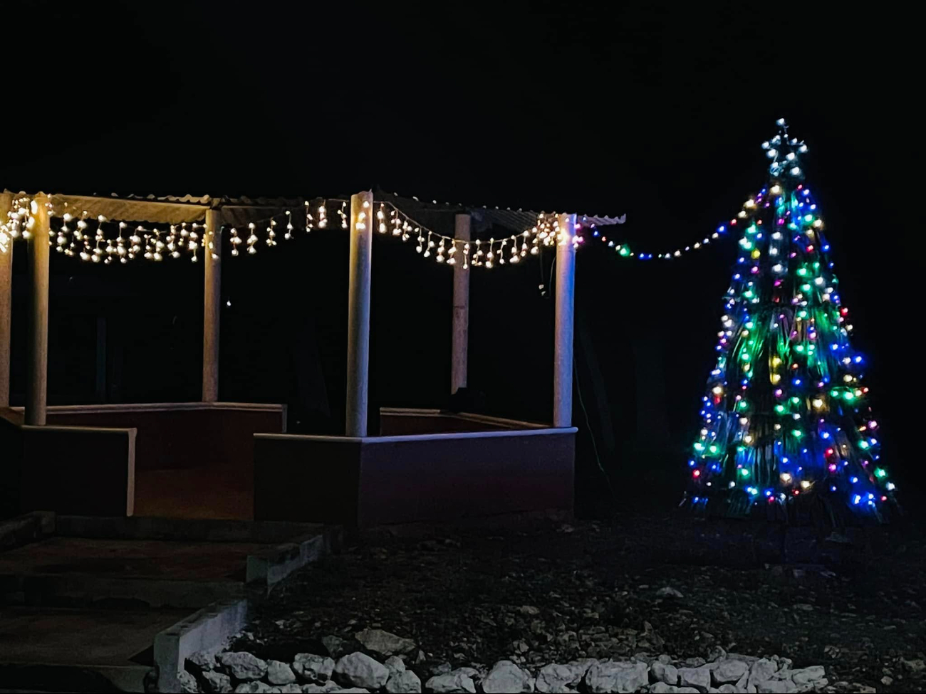 El árbol fue encendido el 11 de diciembre de 2024 y es un símbolo de creatividad y colaboración