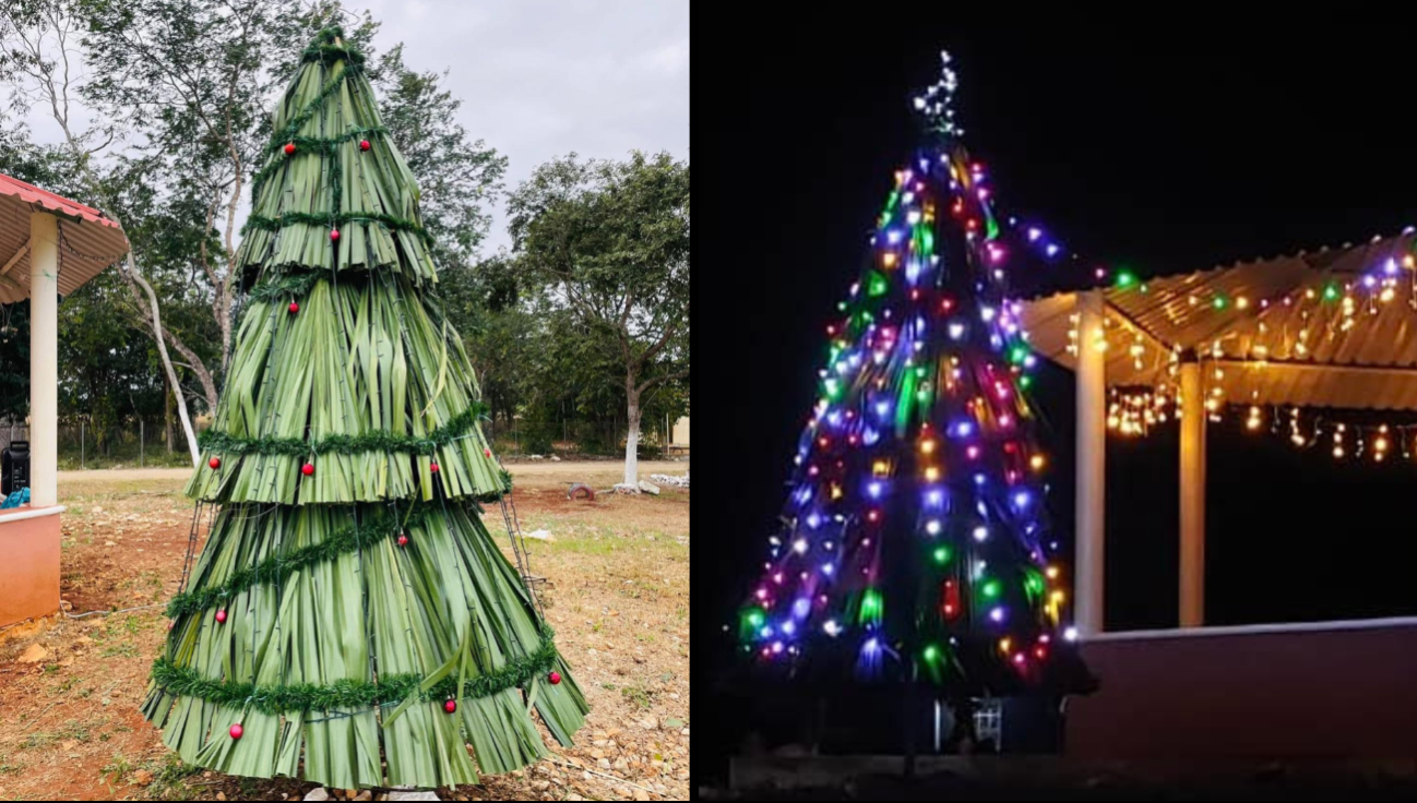 Habitantes de Xbilincoc, Hopelchén, elaboran árbol navideño con palma de guano 