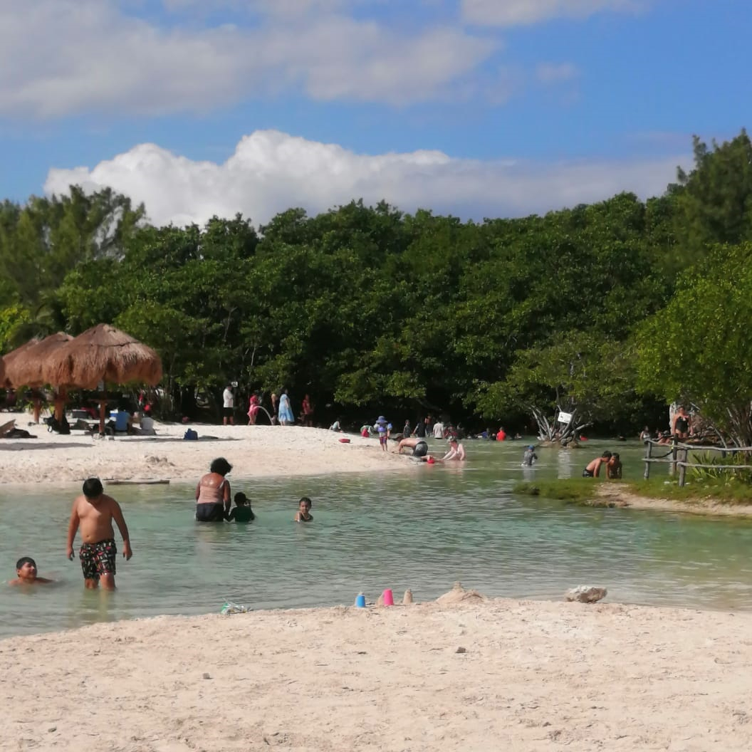 Los fines de semana llegan hasta 3 mil personas a disfrutar del lugar que cuenta con una fuente de agua dulce que conecta con el mar, rodeada de manglares