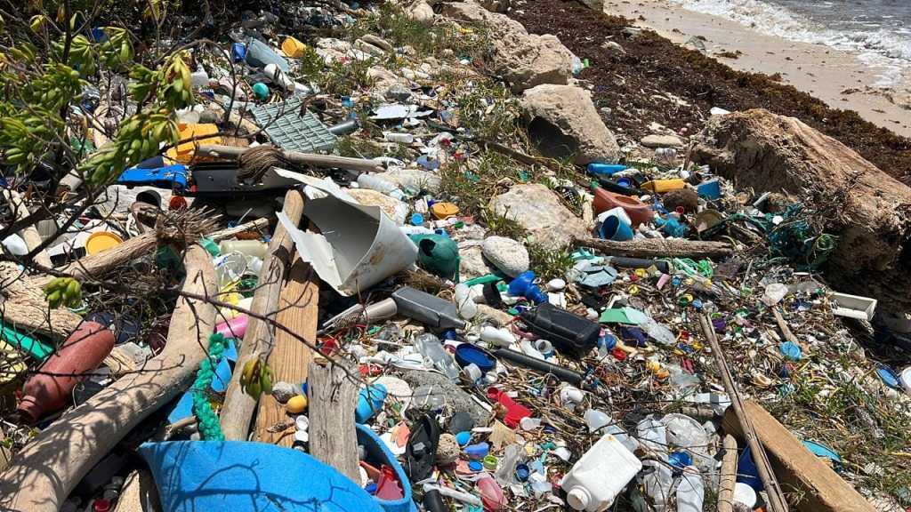 Recale de basura en playas de Mahahual amenaza la salud de las personas y el ecosistema.