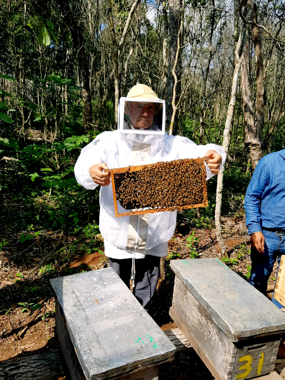 El intenso frío y las lluvias han secado el néctar y las enredaderas, afectando a las abejas