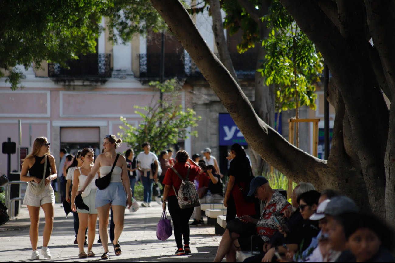 Se prevé ambiente templado durante la Navidad en Yucatán