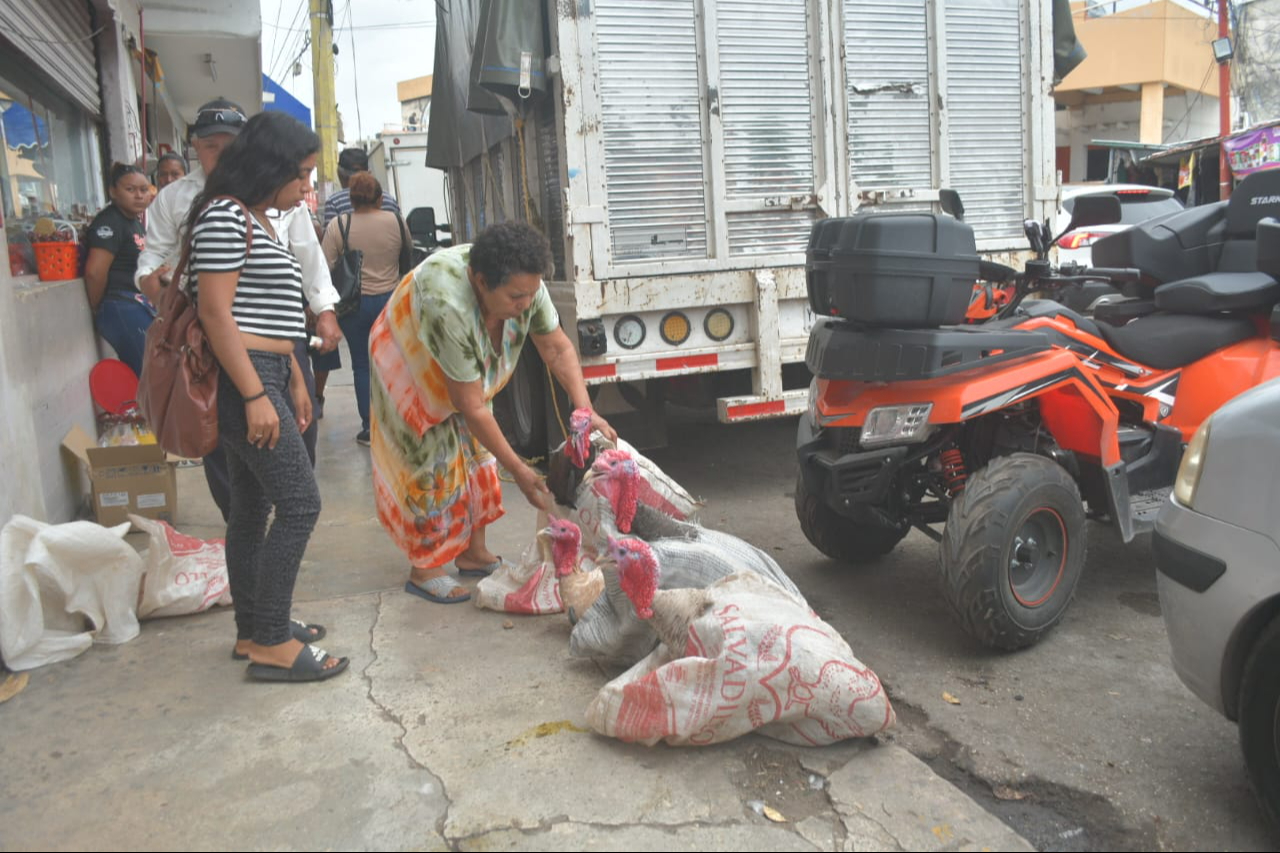 El costo de alimentar un pavo en crecimiento es de 380 pesos por un costal de 25 kilogramos