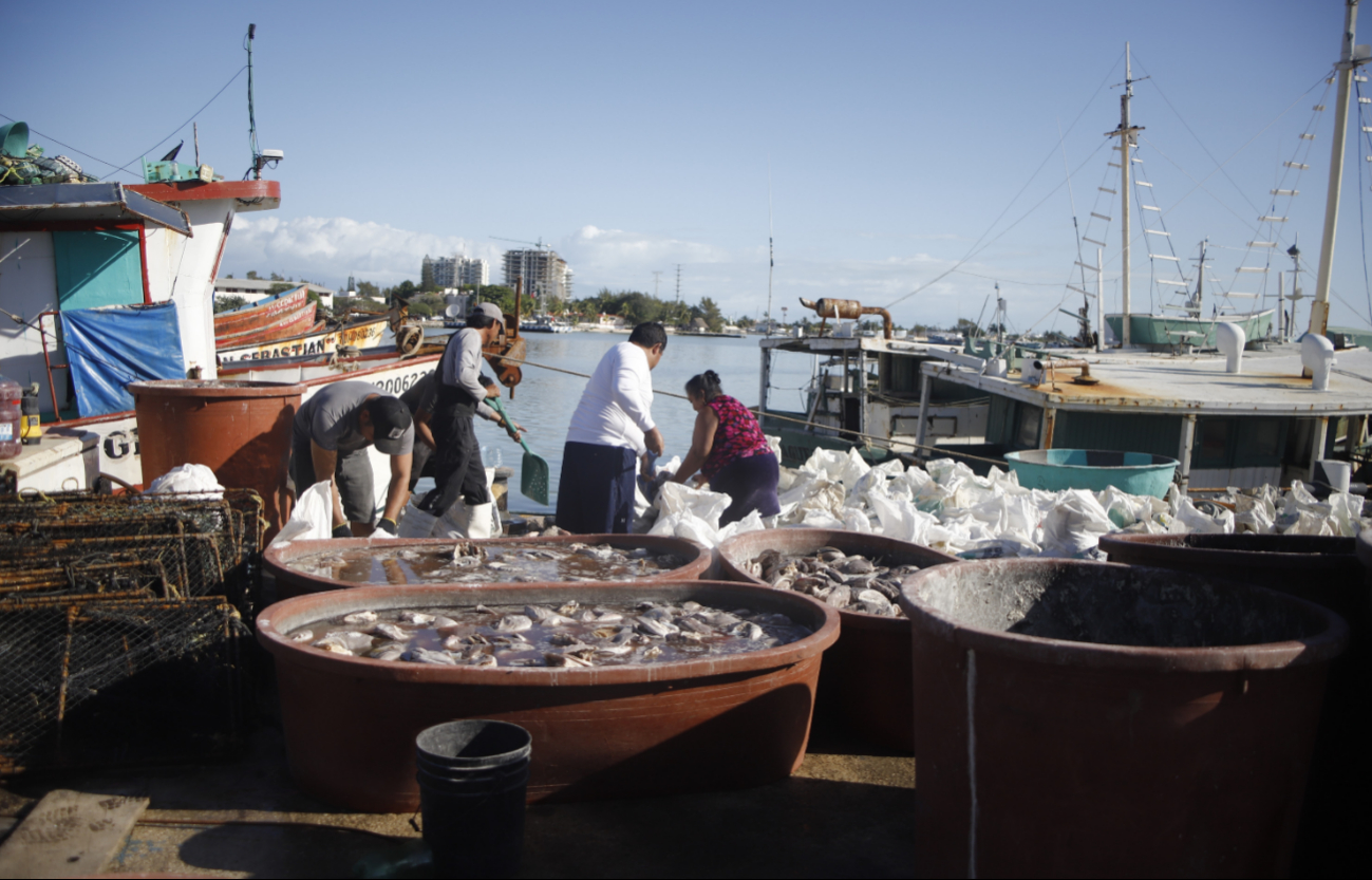 Hombres de mar tendrán que prolongar sus jornadas por baja captura