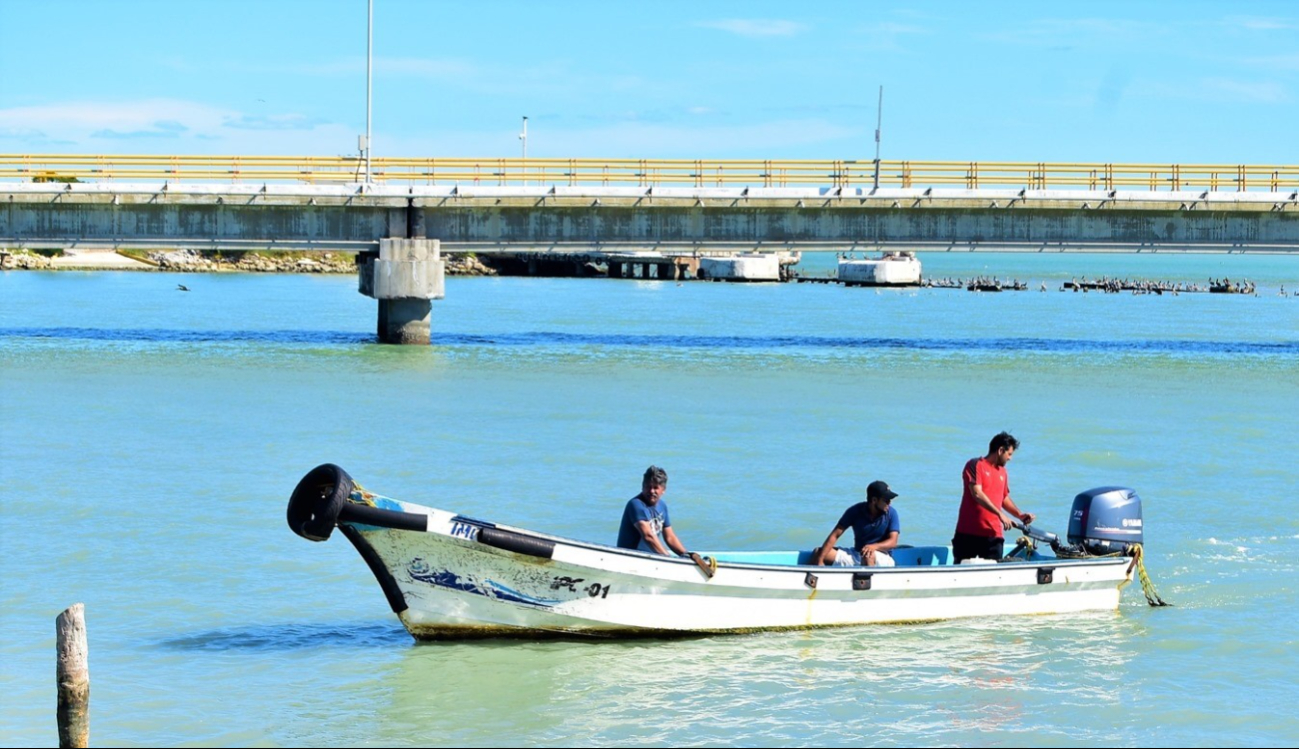 El sector pesquero busca la liberación de áreas de pesca ante la baja producción petrolera y pide un análisis de la situación actual de las plataformas