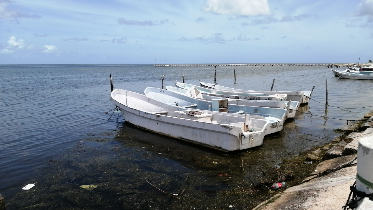 Los pescadores, como Ramiro Chan Correa, denunciaron tarifas exorbitantes, y explicaron que algunos recibos llegaron a ser hasta cuatro veces más de lo habitual